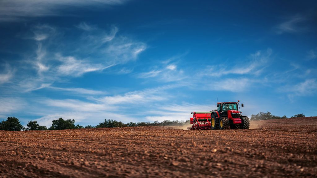 ¿Qué nuevas oportunidades están surgiendo en el sector agroalimentario?