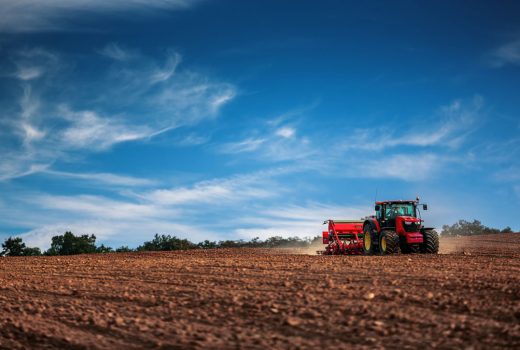 ¿Qué nuevas oportunidades están surgiendo en el sector agroalimentario?