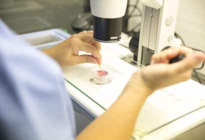 Clínica Tambre mejora un 40% el éxito en reproducción asistida con un nuevo avance para casos complejos