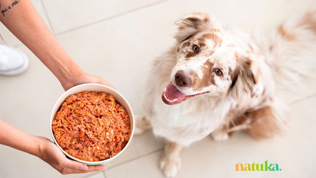 Natuka, la alimentación sana para mascotas tiene premio