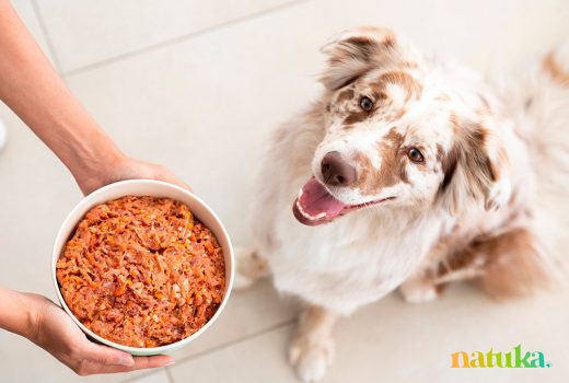 Natuka, la alimentación sana para mascotas tiene premio