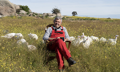 El negocio de PavosBio que transforma el sector
