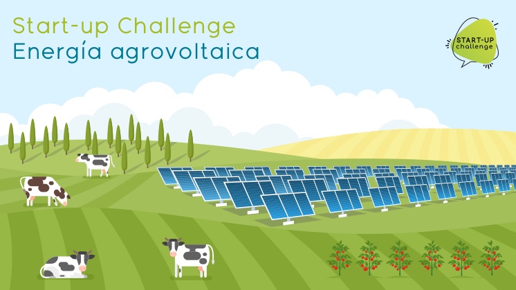 Nuevo ‘Startup Challenge’ de Iberdrola para ideas con energía  fotovoltaica