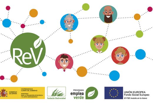 Red Emprendeverde: la mayor red de apoyo al emprendimiento verde de España