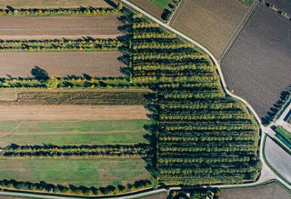 Programa Test Farms de EIT Food