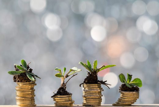 Más flexible, más digital, más verde y para todos los públicos