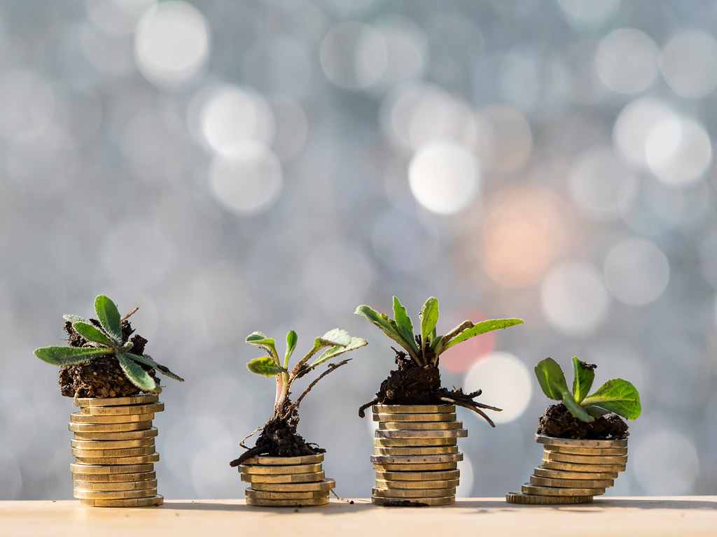 Más flexible, más digital, más verde y para todos los públicos