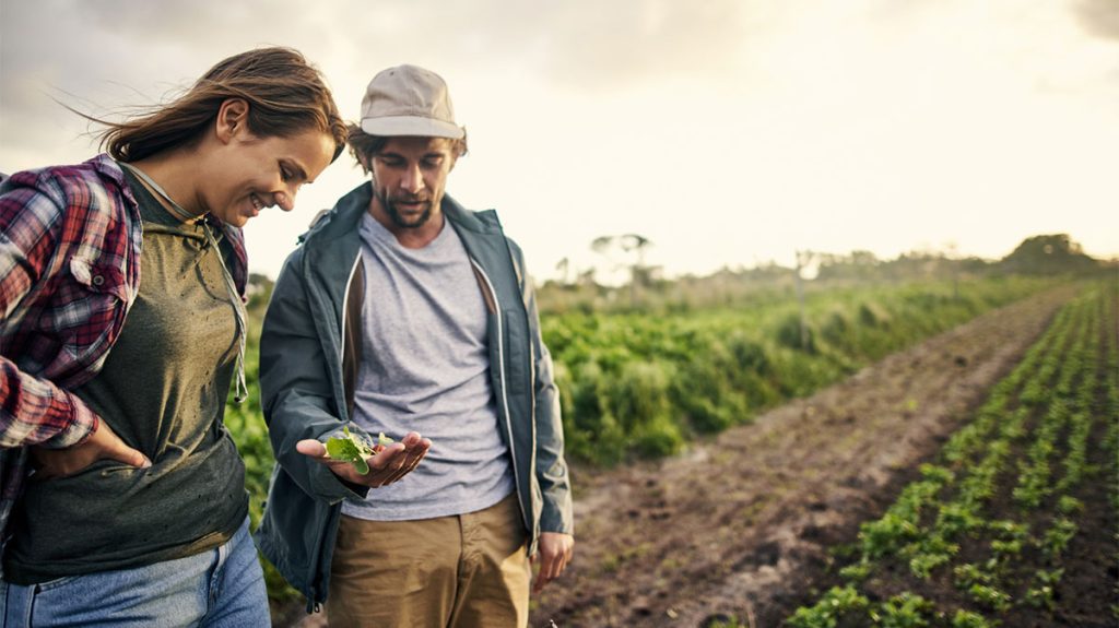 Nuevas oportunidades ante la alimentación del futuro