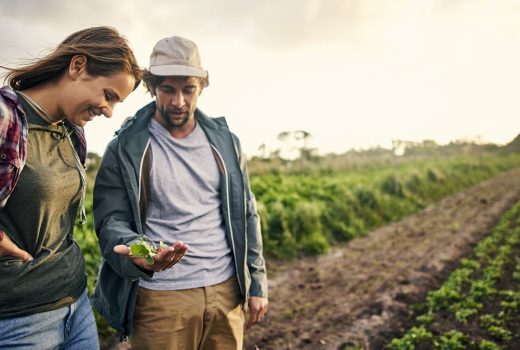Nuevas oportunidades ante la alimentación del futuro