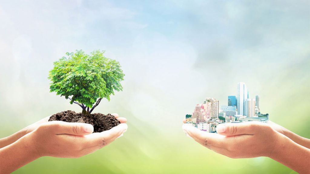 ¡Última oportunidad para inscribirse en las formaciones sobre emprendimiento verde de la Fundación Biodiversidad!