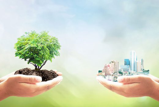 ¡Última oportunidad para inscribirse en las formaciones sobre emprendimiento verde de la Fundación Biodiversidad!