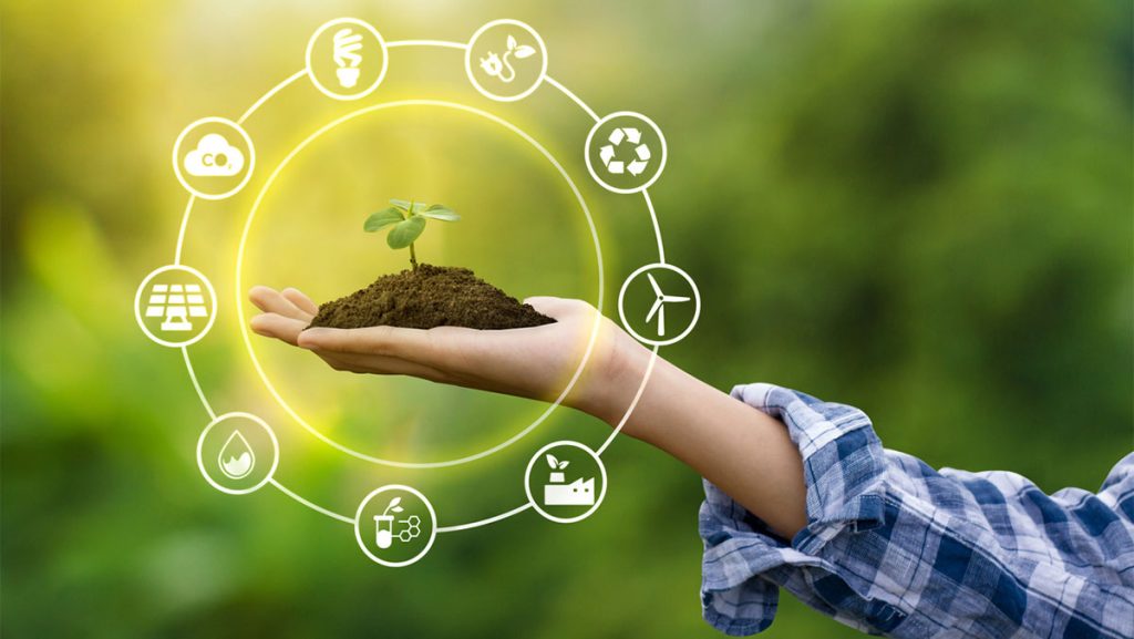 Emprendimiento verde sostenible