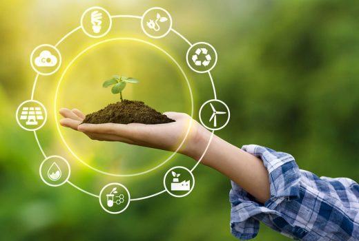 Emprendimiento verde sostenible