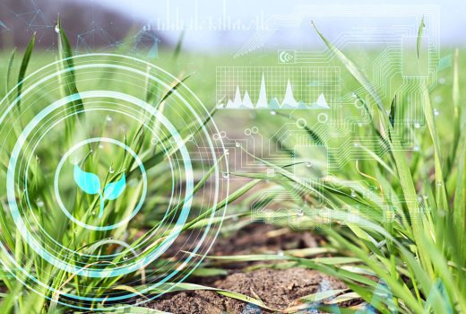 AgroBank Tech Digital INNovation: conoce el nuevo ecosistema tecnológico para el sector agroindustrial