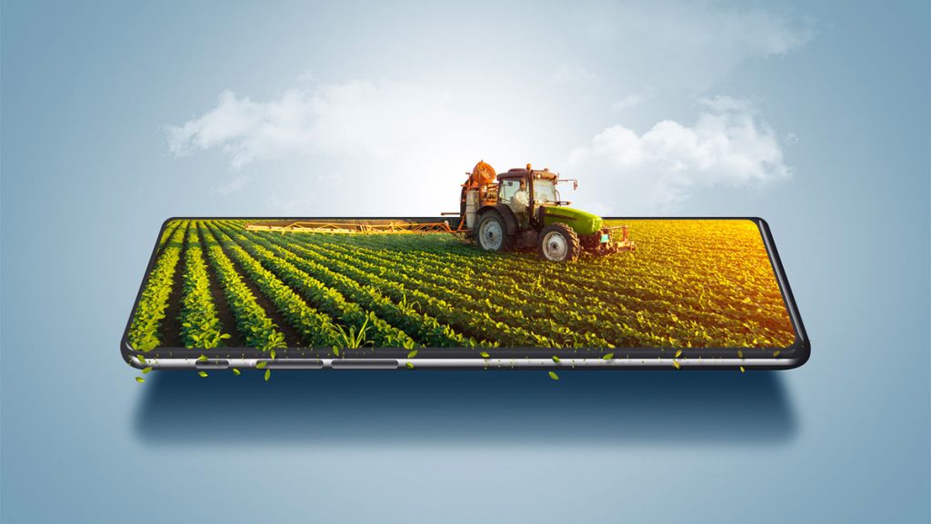 AgroBank Tech Digital INNovation: 154 candidaturas de startups en su primera edición