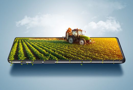 AgroBank Tech Digital INNovation: 154 candidaturas de startups en su primera edición