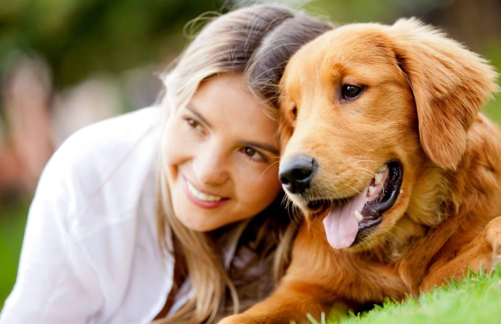 Vacaciones sin preocupaciones; disfrutar del descanso dejando a las mascotas en buenas manos
