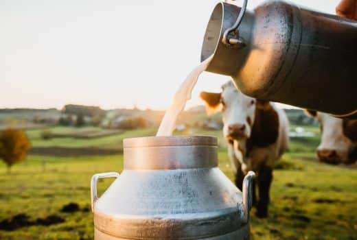 Así convenció esta empresa a Nestlé para probar la leche de vaca ‘sintética’