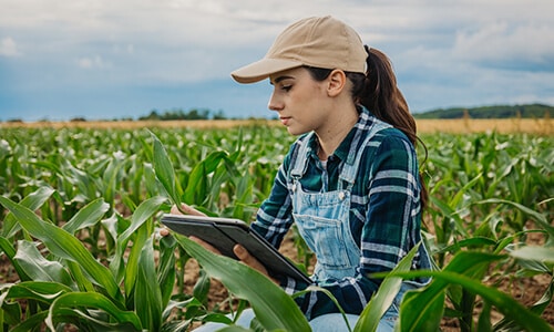 EIT Food cuenta con dos programas de emprendimiento para mujeres en el sector agrifood